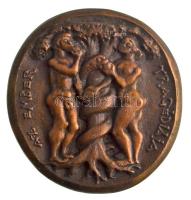 Madarassy Walter (1909-1994) DN "Madách Imre 1823-1864  / Az Ember Tragédiája" Br plakett ...