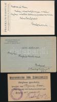 1913-1923 Hajnik Miklós (1889-1969) író, Magyarországi Írók Szakszervezetének tagsági  igazolványa (...