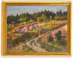 Jelzés nélkül: Nyári színek a mezőn. Olaj, karton, keretben, 29×38 cm