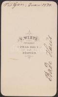 1870 Pöstyénfürdő (Felvidék), fürdőház, keményhátú fotó V. Wietz műterméből, hátoldalon feliratozva,...