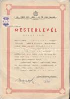 1946 Bp., fényképész mesterlevél, Budapesti Kereskedelmi és Iparkamara által kiállítva, 5 ezer adópengős okmánybélyeggel, aláírásokkal