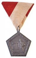~1930. Becsülettel a Hazáért! - MOVE Rákosligeti T.S.E. fém díjérem szalagon. Szign.: Maklári (~24-25g/38mm) T:2 patina / Hungary ~1930. Becsülettel a Hazáért! - MOVE Rákosligeti T.S.E. (With honor for the country! / Hungarian National Defence Association) metal award medal with ribbon. Sign.: Maklári (~24-25g/38mm) C:XF patina