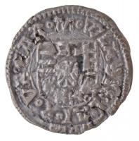 1490-1516. 28db-os magyar denár gyűjtemény két tálcán II. Ulászló idejéből, közte nagyon szép tartás...