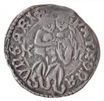 1490-1516. 28db-os magyar denár gyűjtemény két tálcán II. Ulászló idejéből, közte nagyon szép tartás...