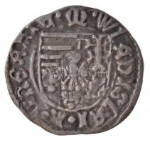 1490-1516. 28db-os magyar denár gyűjtemény két tálcán II. Ulászló idejéből, közte nagyon szép tartás...