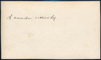 1912 Az amerikai céllövők a stockholmi olimpián, hátoldalon feliratozott fotó, 8×14 cm / 1912 Stockh...