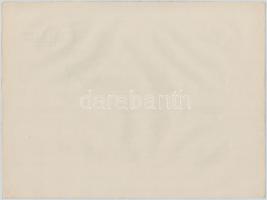 Budapest 1929. "Az Első Magyar Általános Biztosító Társaság" részvénye 50P-ről, szelvények...