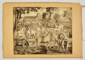 XVIII. sz. Lovak. Rézmetszet, papír. Körbevágva. / Horses. Etching. 35x30 cm