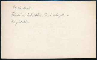 cca 1917 Császári és királyi fürdő- és tetűtlenítő intézet a Kárpátokban, hátoldalon feliratozott fo...