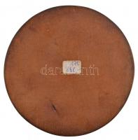 DN "Einstein" egyoldalas Br plakett olvashatatlan mesterjeggyel (155,10g/91mm) T:2 kis pat...