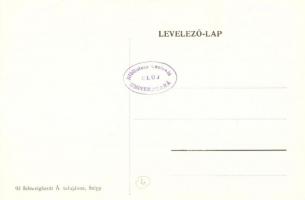 Selyp (Lőrinci), Cukorgyár. Schweighardt Á. tulajdona