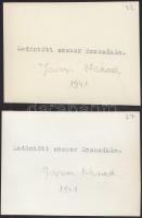 1941 Szabadka, Jovan Nenad ledöntött szobra, 2 db fotó, hátoldalon feliratozva, 8,5×6 cm / Subotica,...