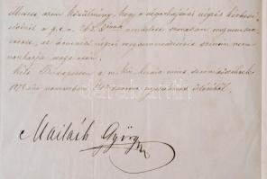 1878 Magyar királyi kúria mint semmítőszék végzése végrehajtási ügyben, Mailáth György (1818-1883) o...