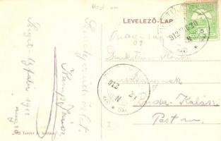 1912 Szigetújfalu, Szeltner Mihály házai. Temler Á. kiadása