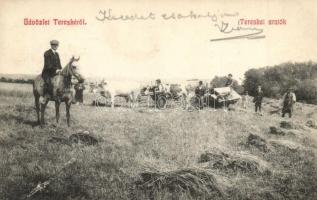 1909 Tereske, aratók ökrökkel és főúrral