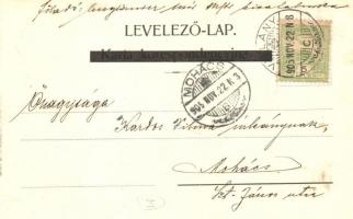 1905 Villány, vasútállomás. Divald / Bahnhof / railway station