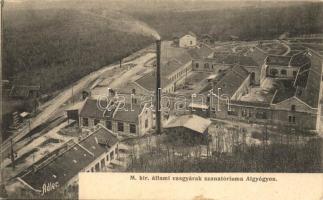 1908 Algyógy, Geoagiu; M. kir. állami vasgyárak szanatóriuma. Adler fényirda / sanatorium of the iron works