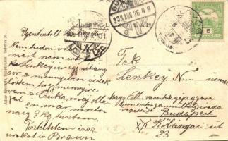 1908 Algyógy, Geoagiu; M. kir. állami vasgyárak szanatóriuma. Adler fényirda / sanatorium of the iro...