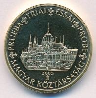 2003. 10c nagyméretű Euró próbaveret T:1