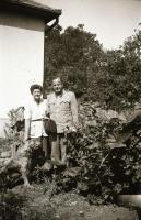 36 db vegyes fotónegatív, lovakkal, városképekkel, tájképekkel