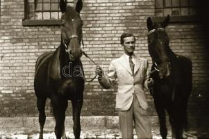 36 db vegyes fotónegatív, lovakkal, városképekkel, tájképekkel