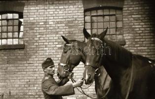 36 db vegyes fotónegatív, lovakkal, városképekkel, tájképekkel