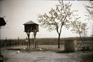 36 db vegyes fotónegatív, lovakkal, városképekkel, tájképekkel