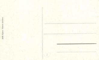 Nagykároly, Carei; Kereskedelmi és Iparbank, Önsegélyző Népbank, Első Magyar Biztosító Társaság fiók...