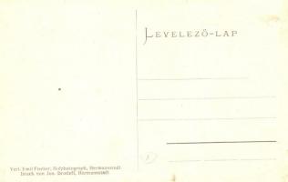 Nagyszeben, Hermannstadt, Sibiu; Szeben híd. Jos. Drotleff / Zibinsbrücke / bridge over Cibin river