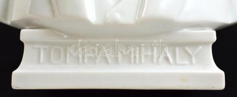 Herendi Tompa Mihály büszt, bisquit és fehér mázas, jelzett (mélynyomás,koronás), csorba nélkül (pis...