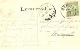 1908 Piski, Simeria; Piac tér árusokkal, Müller József üzlete. Adler fényirda / market with vendors,...