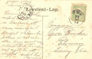 1906 Puj, Pui; Piac tér, Olvasókör, üzlet. Joanovits János kiadása / market square with shop and rea...