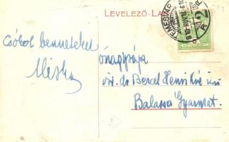 1910 Temesvár, Timisoara; Hunyadi kastély, Hess és Társa üzlete, Weismayr Ferenc, Gonda üzlet, Paris...