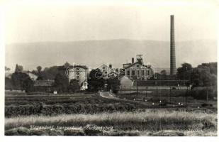 Cinfalva, Siegendorf; Cukorgyár / Zuckerfabrik / sugar factory (EK)