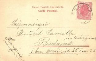 1907 Sulina, Debarcaderul si Strada Carol / port with ships, Watson and Youell shipping house. Jani ...