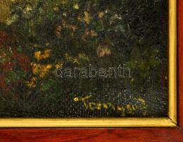 Tornyai jelzéssel: Öntöző asszony. Olaj, vászon, jelzett, keretben, 50×70 cm