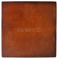 Seregély Dezső (1867-1948) 1922. "COL. EGR. NOB. DES. SEREGELY DE NE. NAT. INHUNG. COM. BARS. 1...