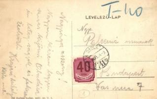1911 Budapesti Katolikus Kör tagjai. Címer, magyar zászló, Sándorfi Ede lelkész portréja / Vybor bud...