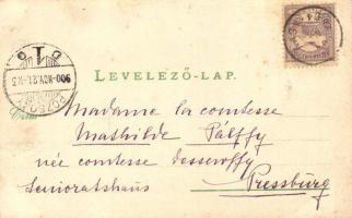 1900 Nagyida, Velká Ida; Báró Schell Gyula kastélya. Mathilde Pálffy (Dessewffy) grófnőnek címzett l...