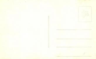 Kolozsvár, Cluj; Fellegvár, régi házak / old villas of Cetatuie. photo