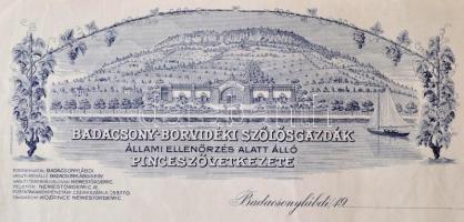 cca 1900 Badacsony-Borvidéki Szőlősgazdák Pinceszövetkezetének fejléces levelezőpapírja, kitöltetlen