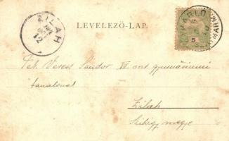 1904 Bikszád-fürdő, Baile Bixad; Móricz lak. Kiadja Reizer János / villa (EK)