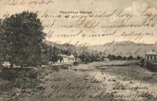 1905 Nagybánya, Baia Mare; látkép. Kiadja Kovács Gyula / general view (EK)