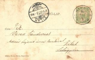 1905 Nagybánya, Baia Mare; látkép. Kiadja Kovács Gyula / general view (EK)