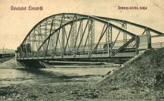 Élesd, Alesd; Sebes-Körös hídja. W. L. 287. / Crisul Repede river bridge (kis sarokhiány / small corner shortage)
