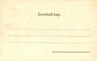 Balassagyarmat, Magyar Király szálloda, utcaképek. Art Nouveau, floral (EK)