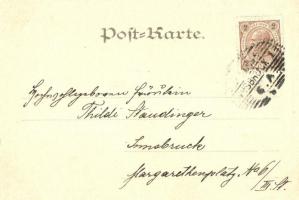 1899 Art Nouveau lady with light bulbs. Franz Schöler Wien XIX. s: G. Liberali