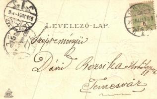 1903 Újvidék, Novi Sad; Pétervárad, hajóhíd és vár. Szőlős dombornyomott litho. Herger Ágoston kiadá...