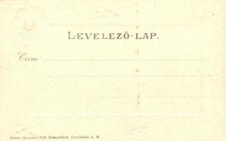 Fehértemplom, Ung. Weisskirchen, Bela Crkva; Fecskés dombornyomott litho keret. Gustav Wunder kiadás...