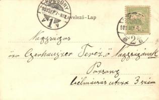 1903 Szabadka, Subotica; M. kir. tanítónőképző intézet. Szecessziós litho keret madarakkal / teacher...